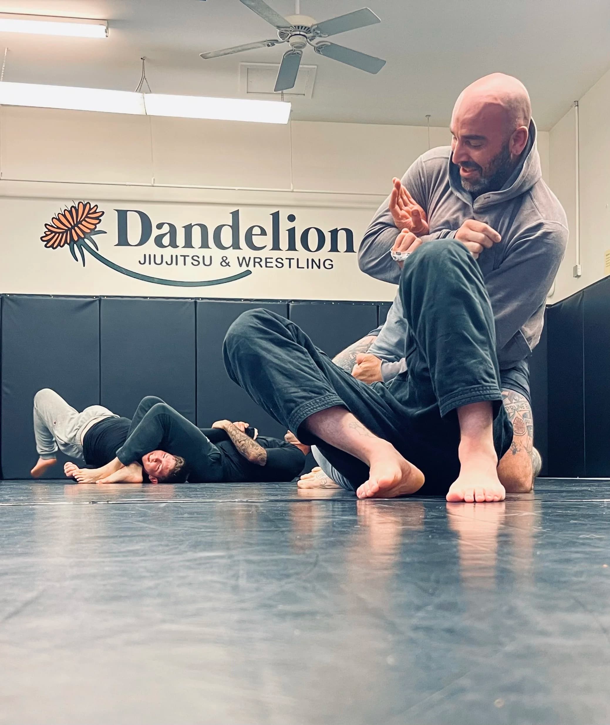 Main image of Dandelion Brazilian Jiu-jitsu