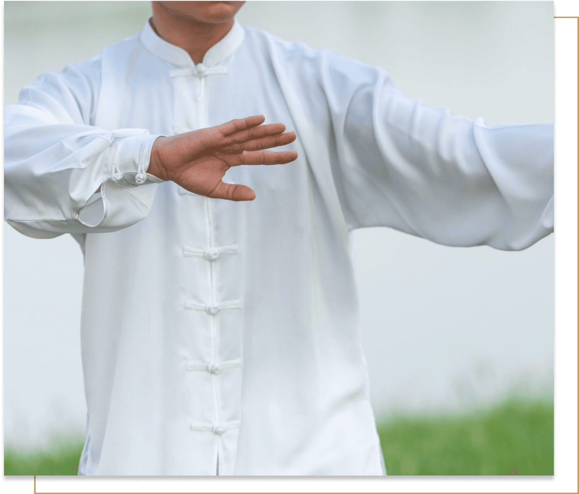 Main image of School Martial Arts Bai Long Dao