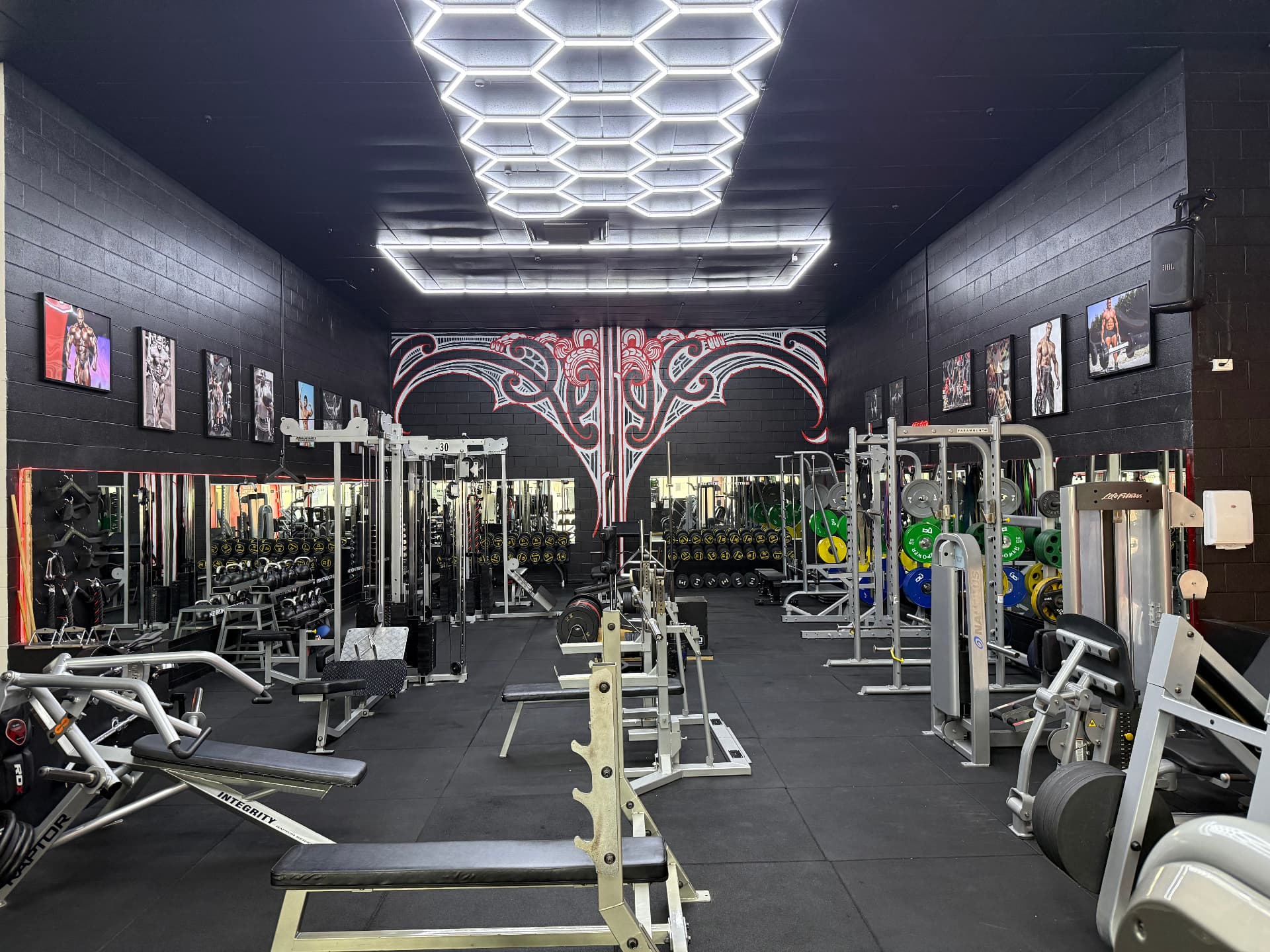 NZ Iron Strength Gym Browns Bay logo