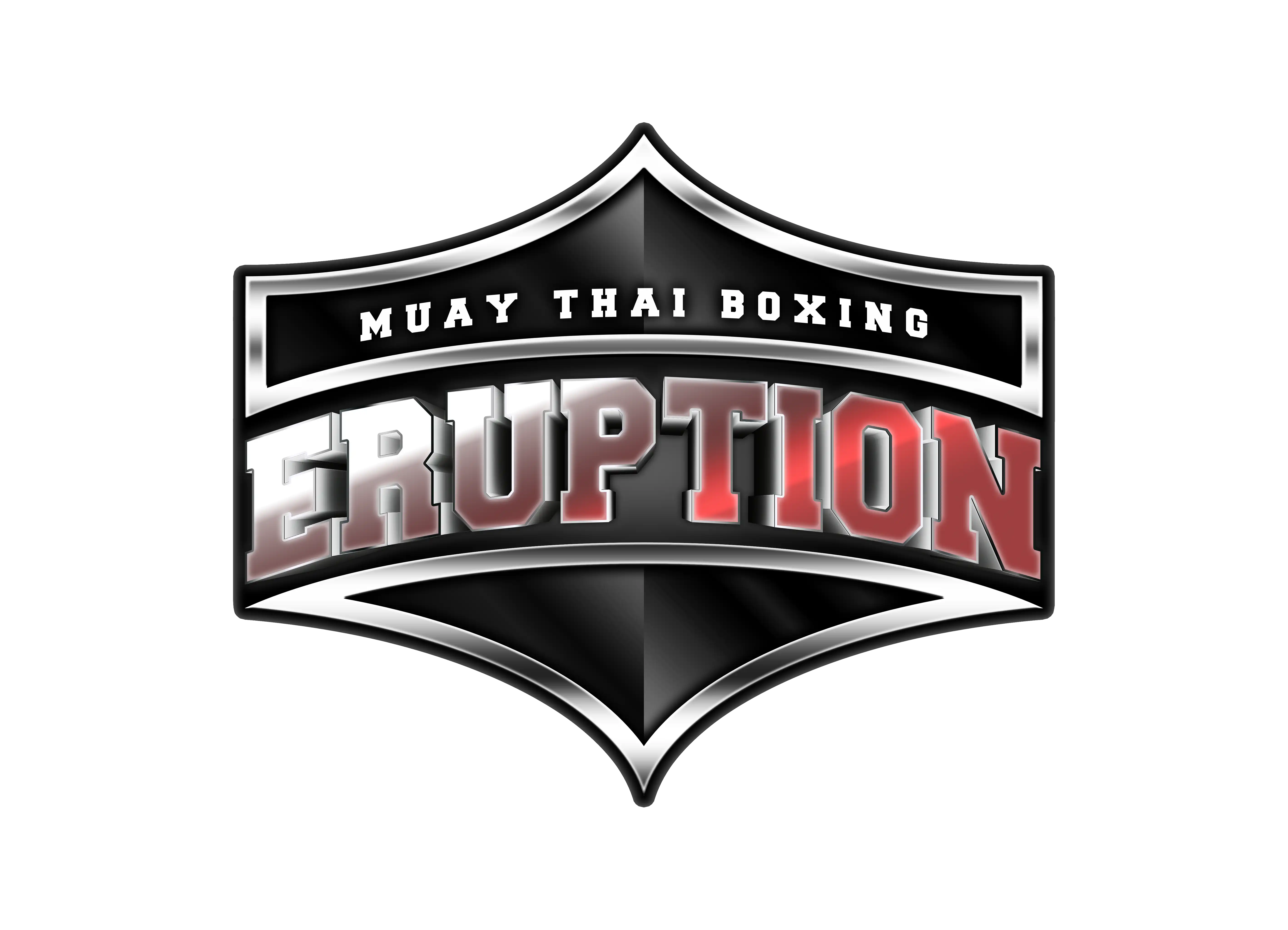 NTG Fight & Fitness logo