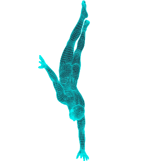 Main image of Fit4Fight