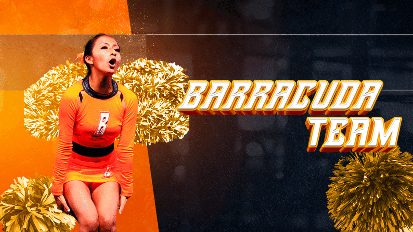 Main image of Barracuda Team
