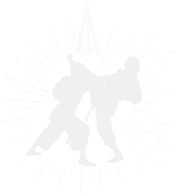 UNITED KARATE & FITNESS CENTRE logo