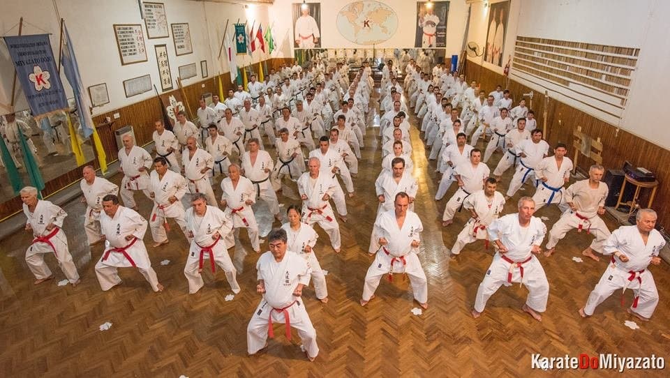 Main image of Miyazato Dojo Karate Do