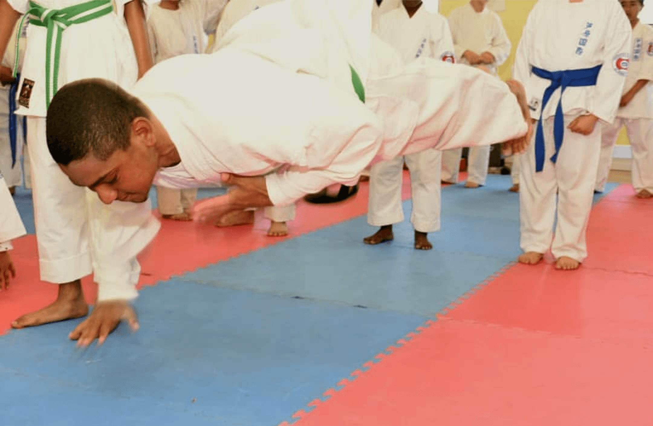 Amin Dojo (ASHIHARA KARATE INTERNATIONAL) logo