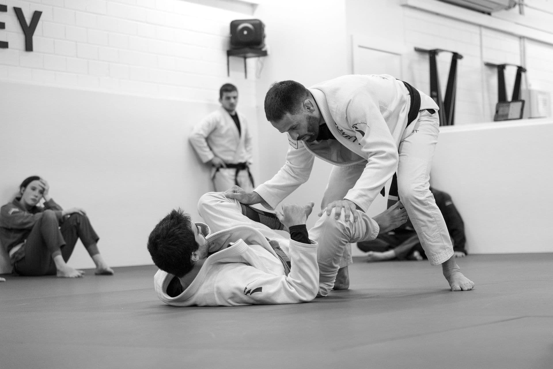 Main image of Alliance Jiu Jitsu Sydney
