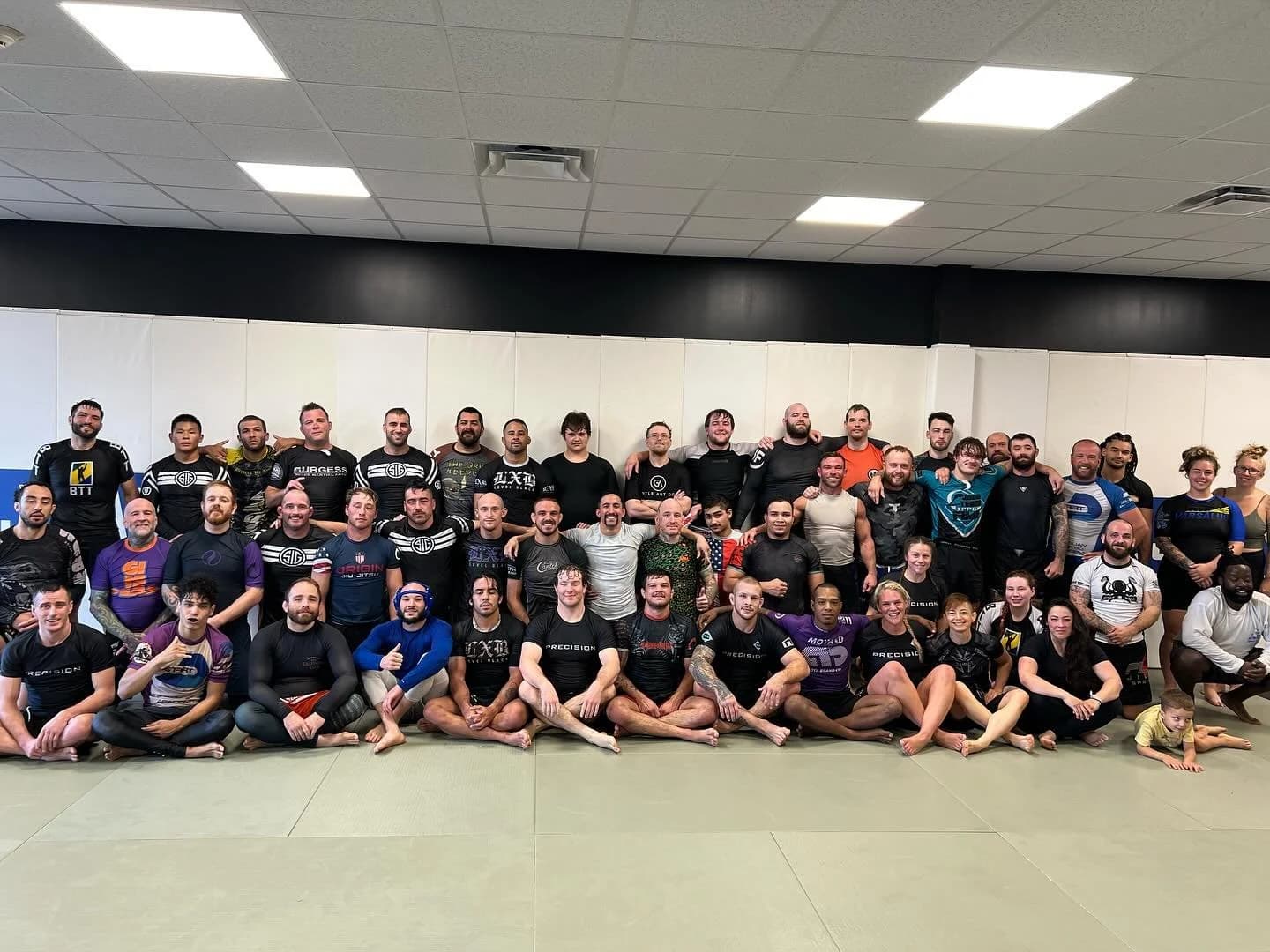 Precision Jiu Jitsu logo