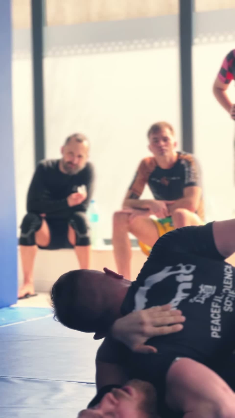 Main image of Southeast Jiu-Jitsu