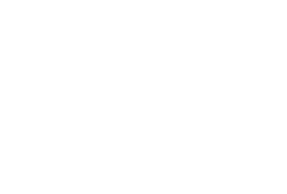 BoXclan Personal Training logo
