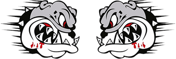 BJJ Wrocław - Carlson Gracie Poland logo