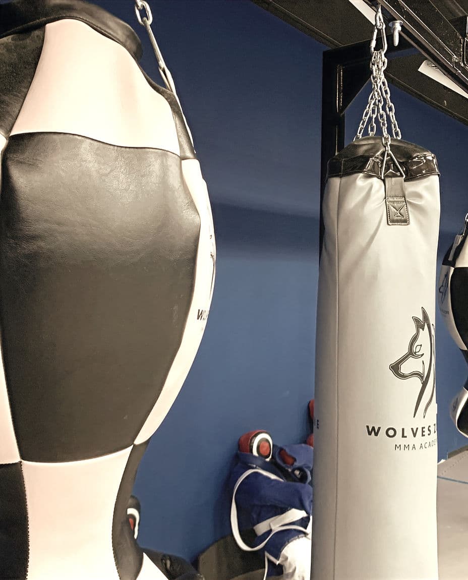 Main image of Wolves Zone MMA Academy