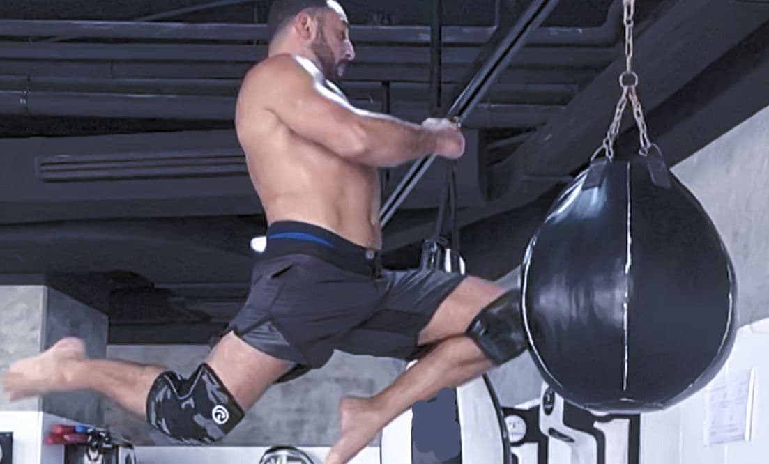 Wolves Zone MMA Academy logo