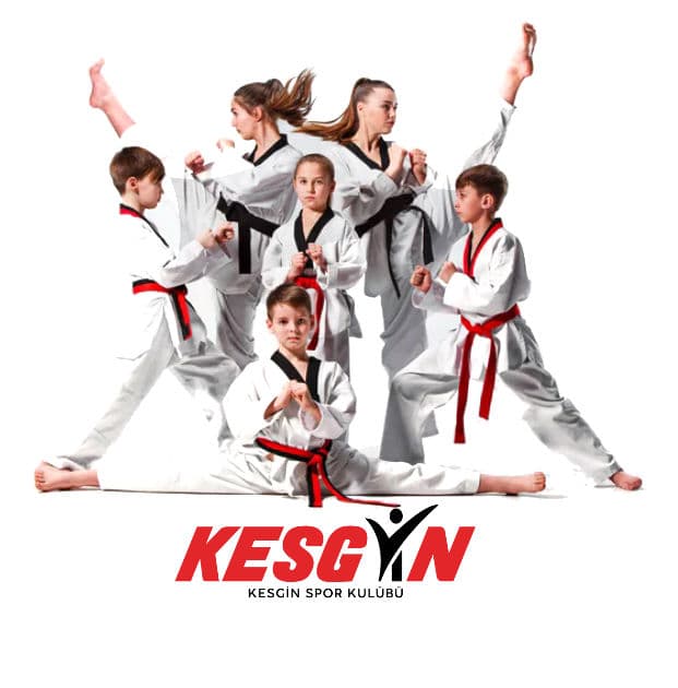 Bursa Taekwondo - Kickboks - Kesgin Spor Kulübü logo