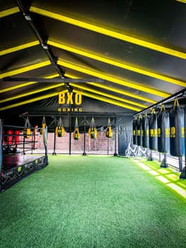 Main image of BXOBOXING