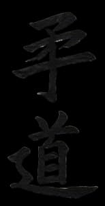 Main image of Toni Judokool EST