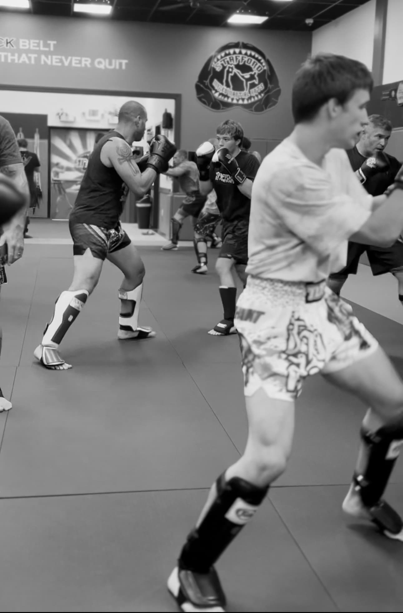 Main image of Stafford Mixed Martial Arts