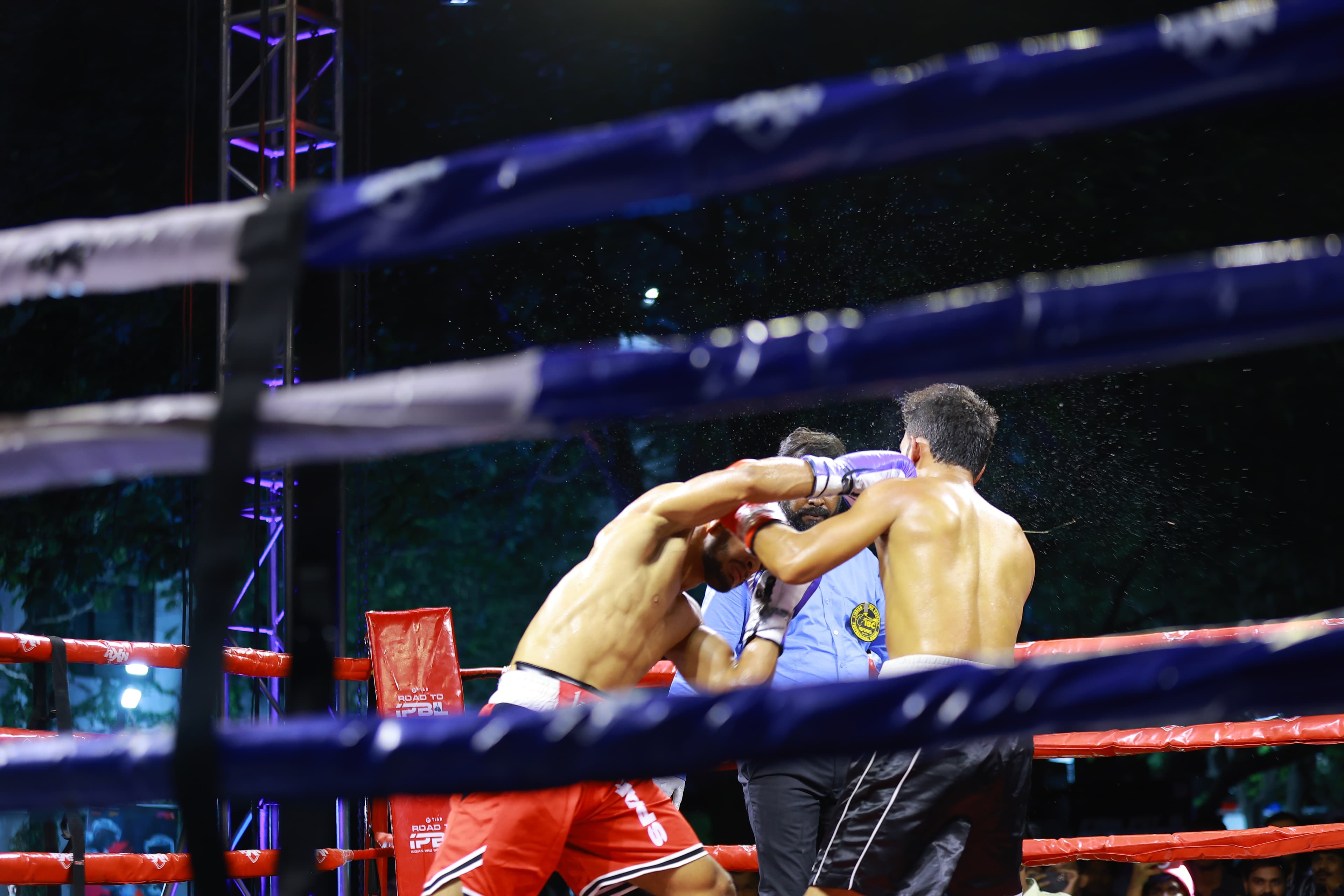 Main image of Brutal Fight Club