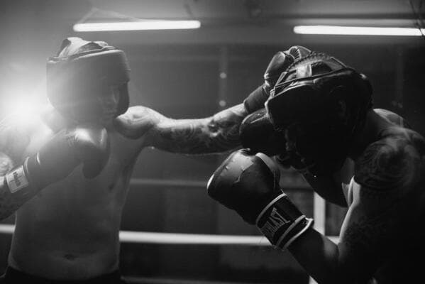 Main image of PitBull Boxing