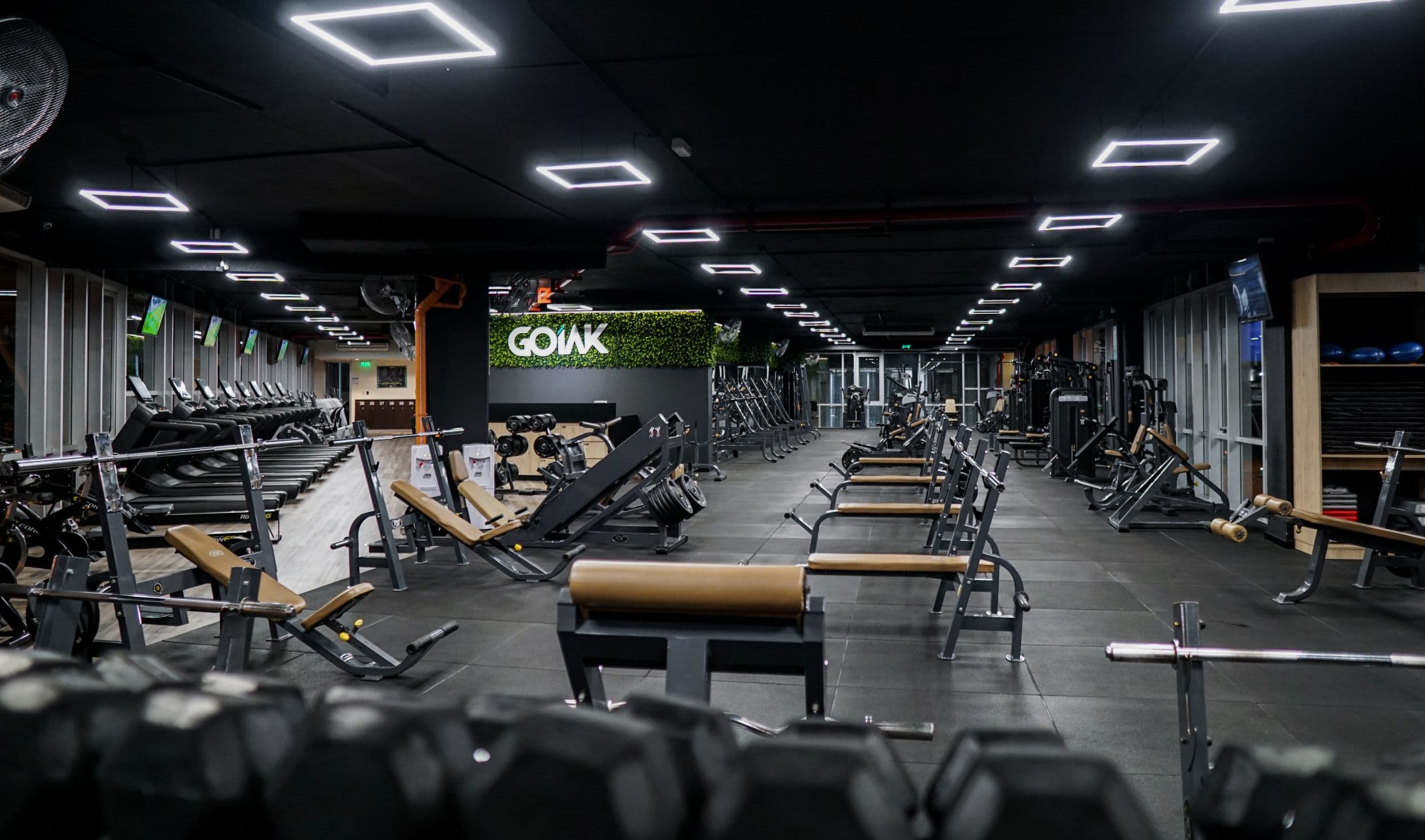 Main image of Gimnasio Goiak