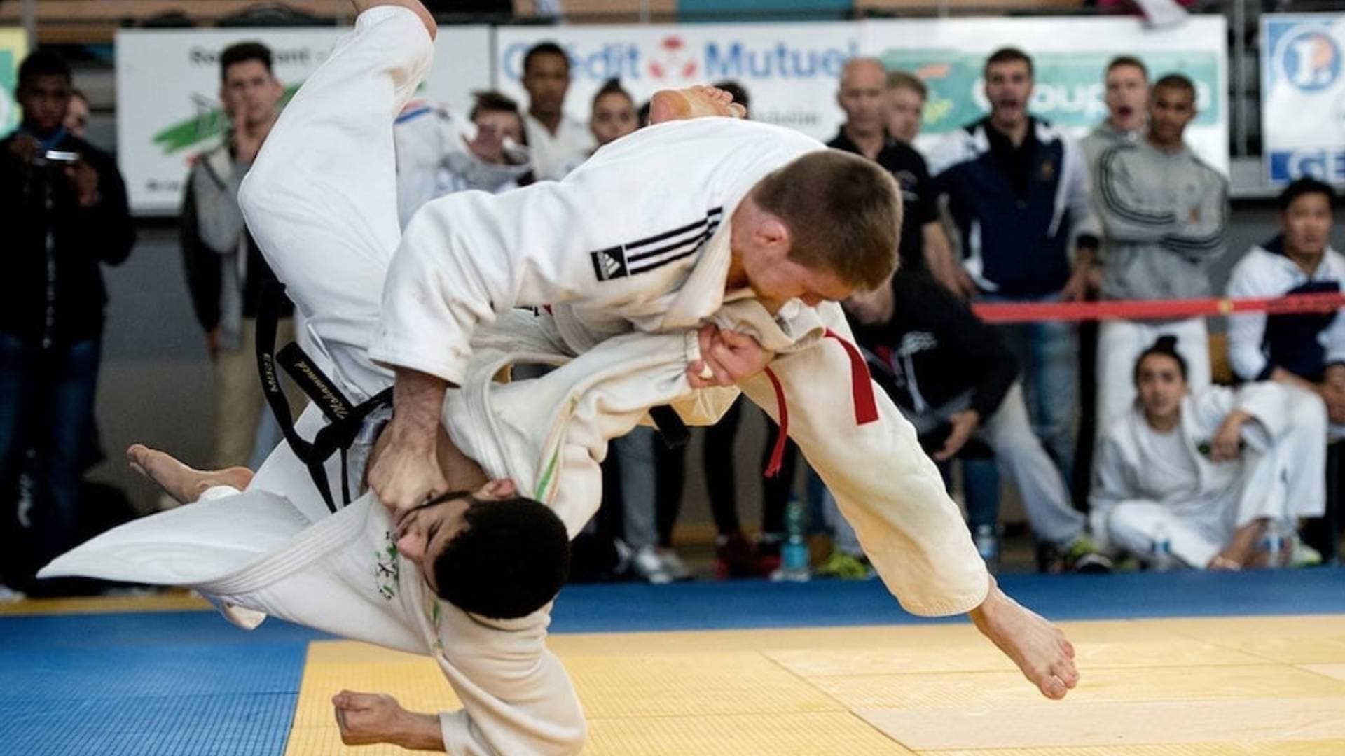 Main image of Alliance Judo Jiu-Jitsu