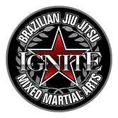 Main image of Ignite Martial Arts Academy