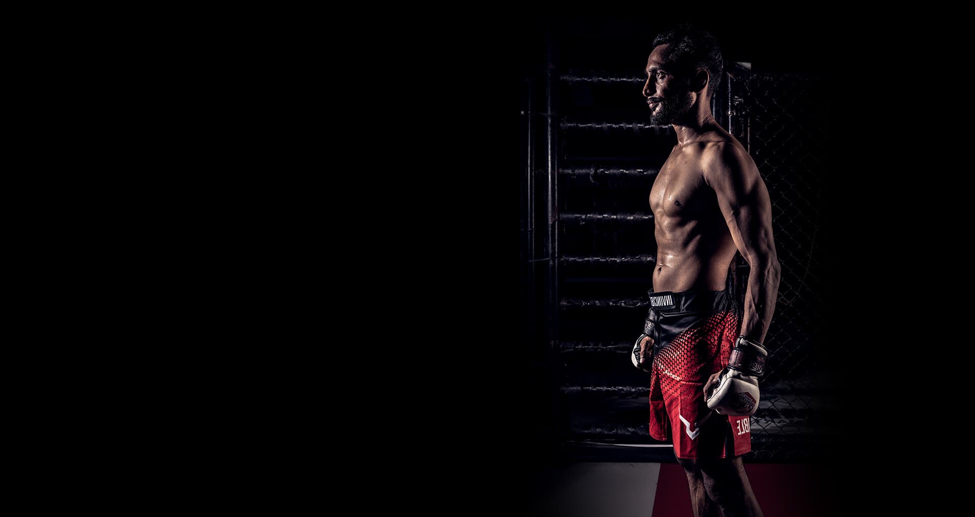 Fight Elite Mma logo