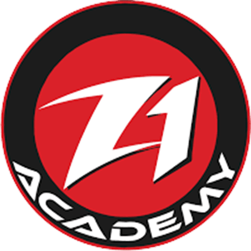 Z1 Jiu-Jitsu Academy Namibia logo