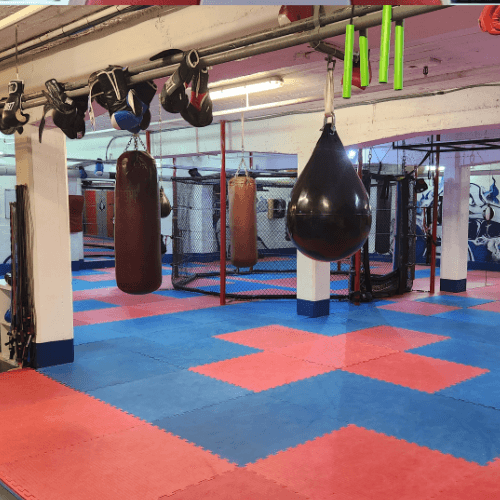 Main image of Cage Academy