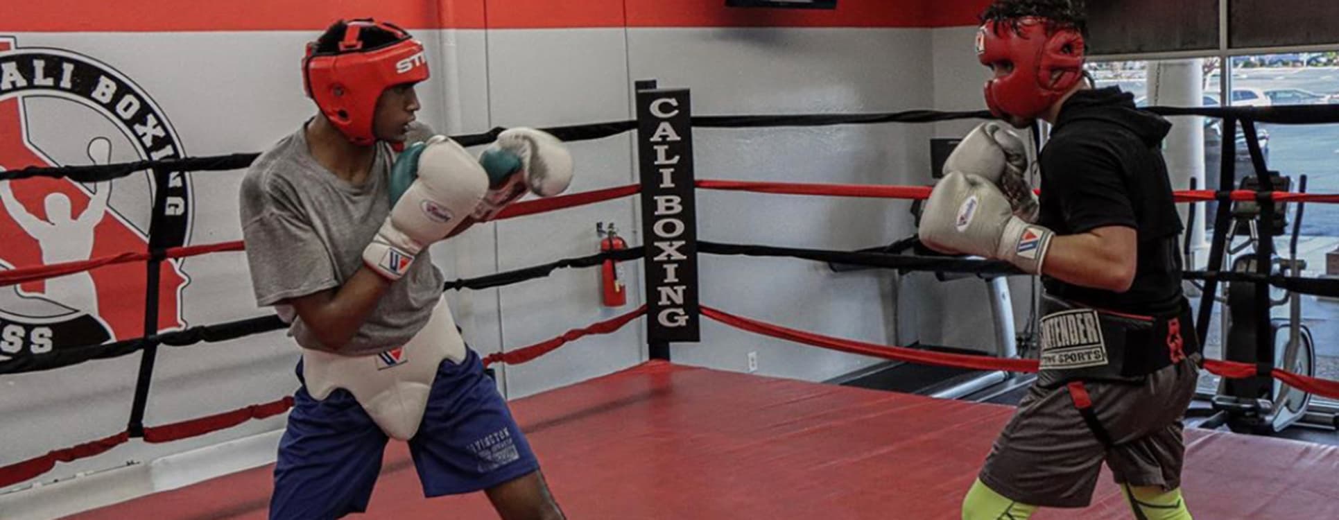 Main image of San Jose Boxing & Fitness