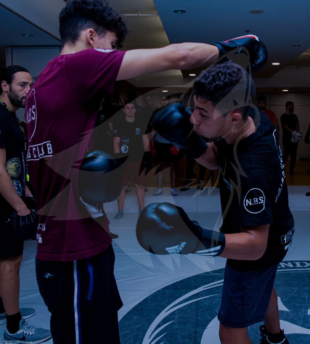 Main image of Nbs boxing