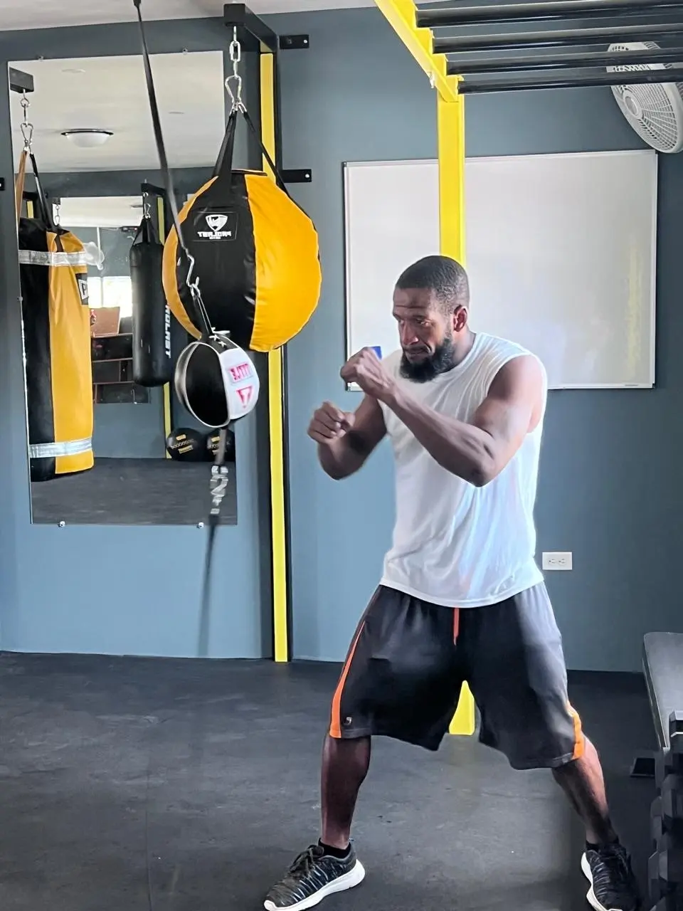 Main image of Alpha Boxing Club