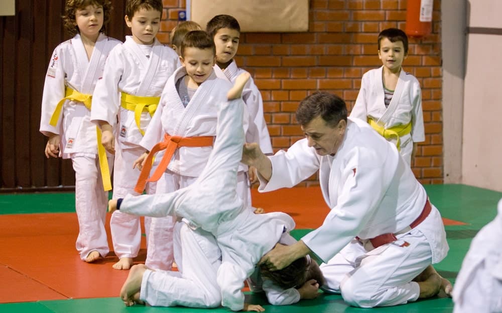 Main image of Džudo klub Novi Beograd