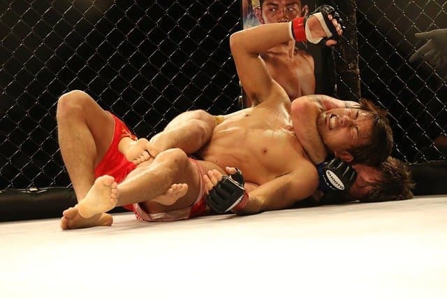 The Headquarters MMA and Fitness Studio logo