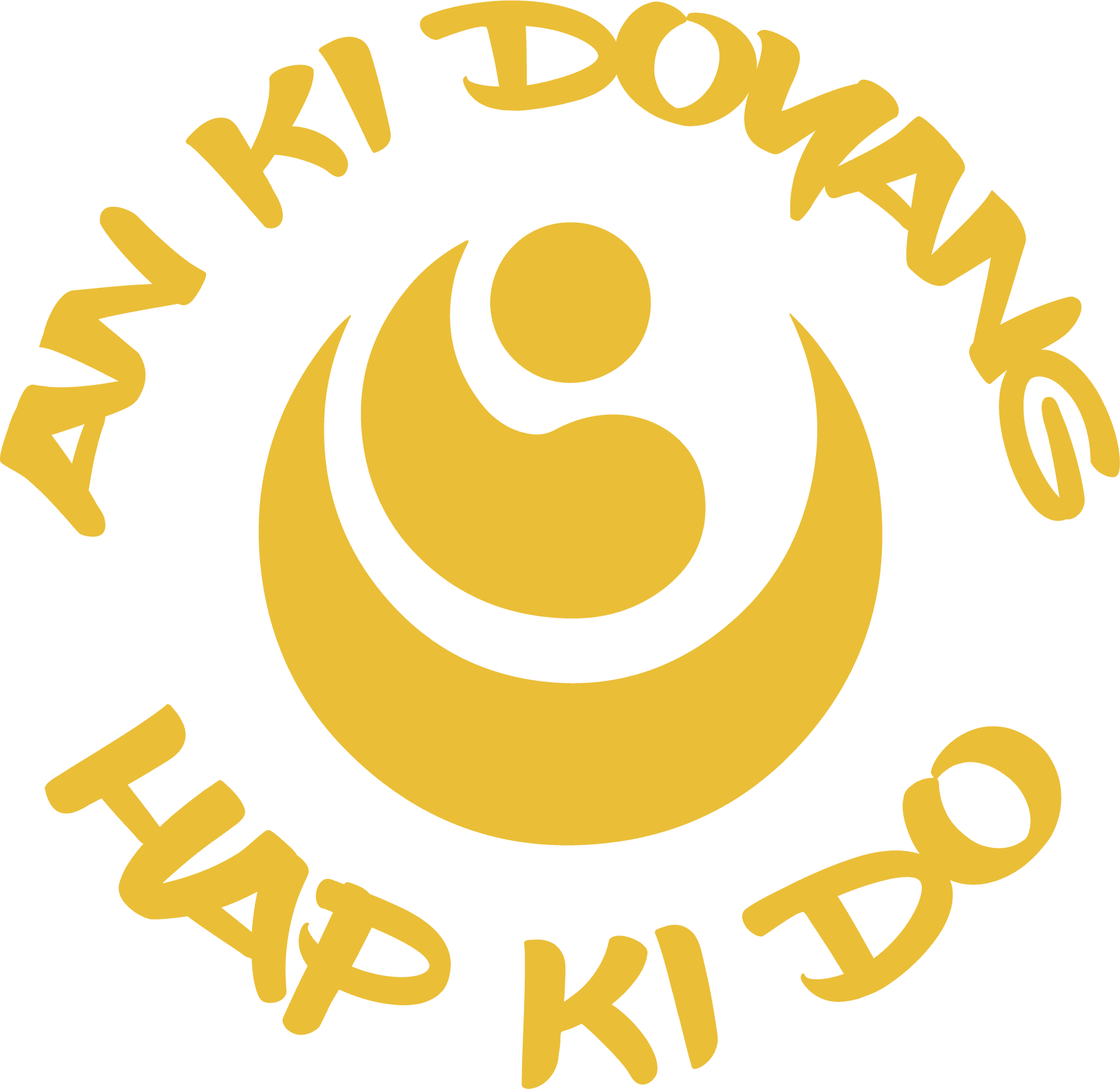 Escuela de Artes Orientales An Ki Doyang(Artes Marciales) logo