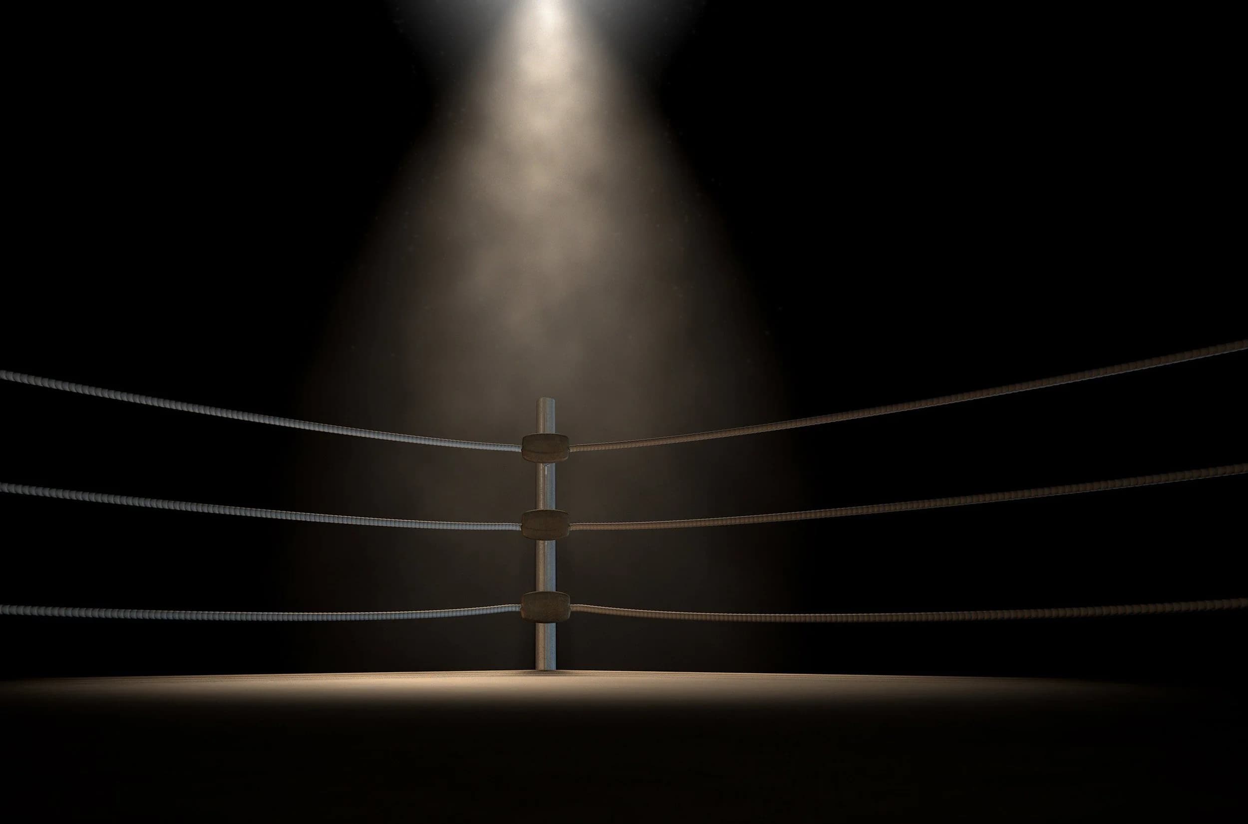 Main image of Boomerz Boxing
