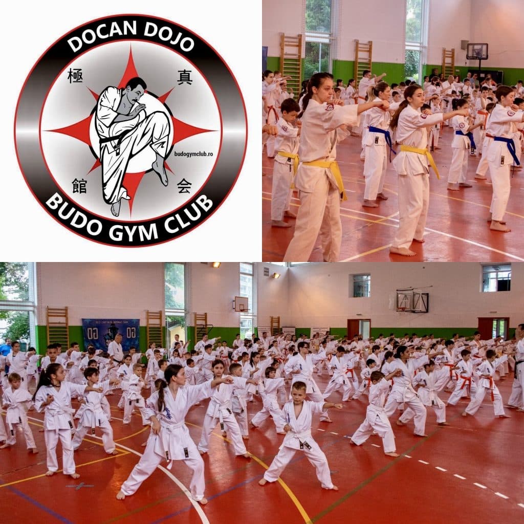 Budo Gym Club logo