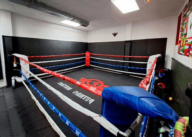 Main image of Muay Thai Leal