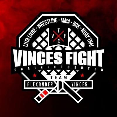 Main image of VINCES FIGHT SMP