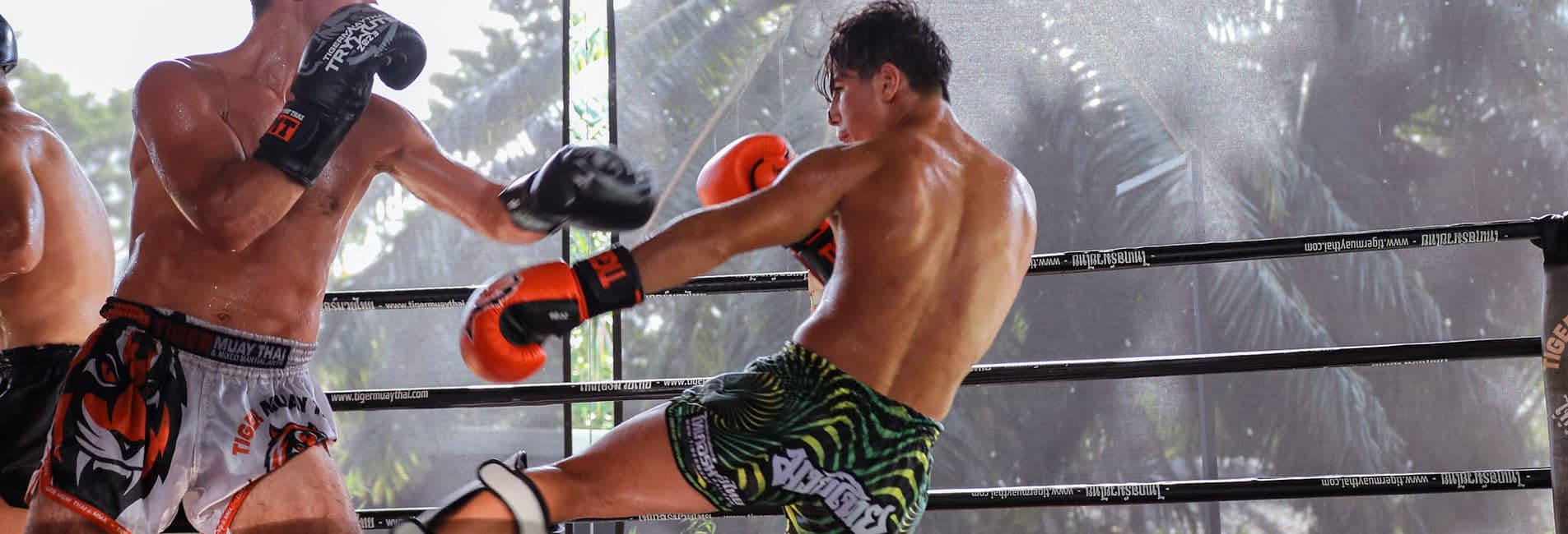 Tiger Muay Thai Bali and Mix Martial Arts logo