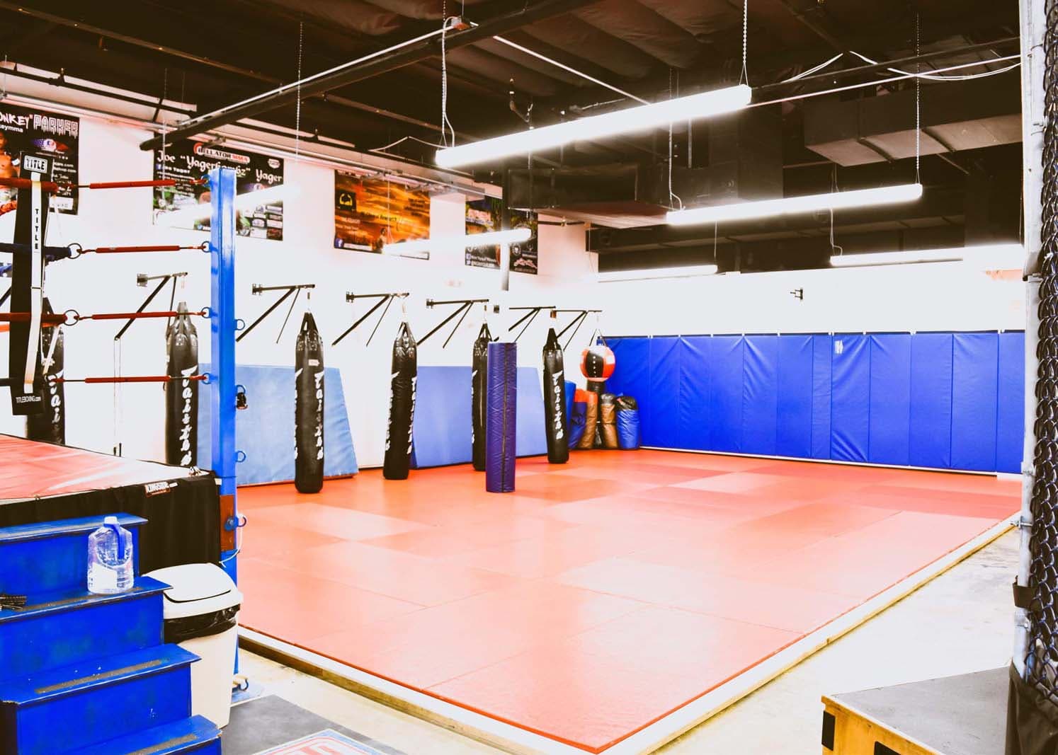Main image of Apex Mixed Martial Arts