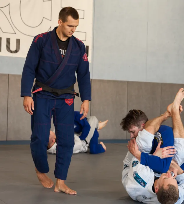 Main image of A-Force BJJ Lithuania