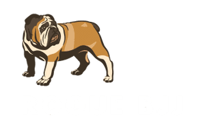 Main image of Rogue BJJ Canberra