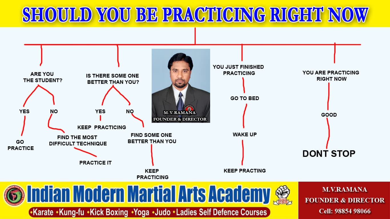 Indian Modern Martial Arts Academy - MVP Colony Sector 3 VSP logo