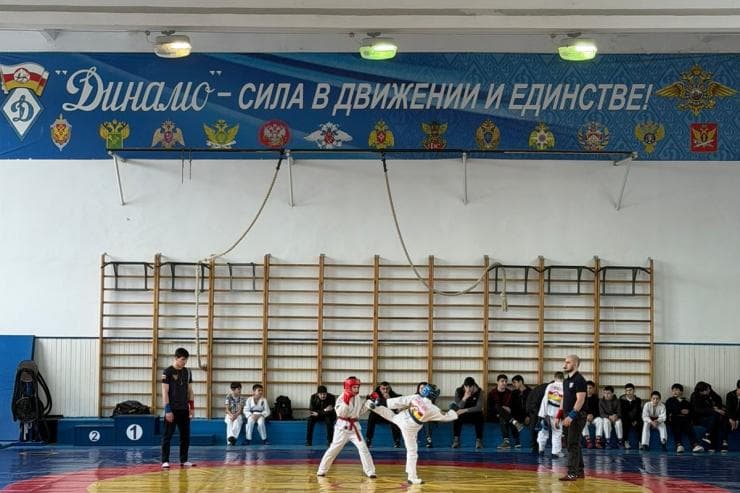 Main image of Dynamo Stadium
