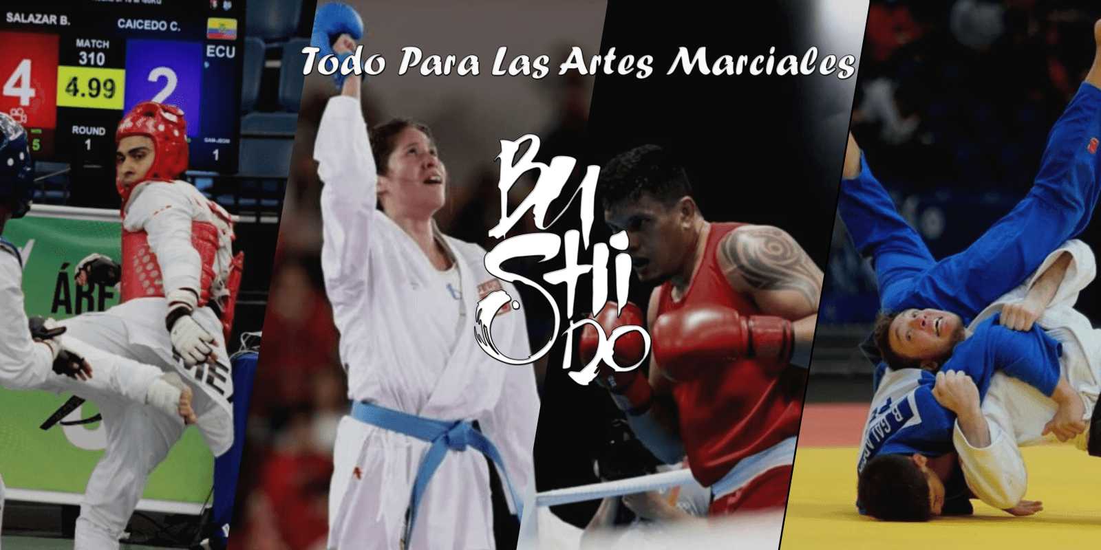 Main image of Tienda Bushido