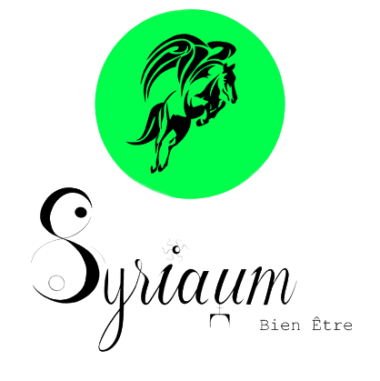Syriaum Bien-Être Et Self Défense Guyane logo