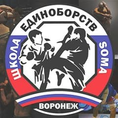 Школа Единоборств - SOMA logo