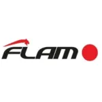 Main image of FLAM JUDO - VICTOR HUGO