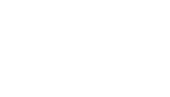 Vulcan's Pro Wrestling School logo