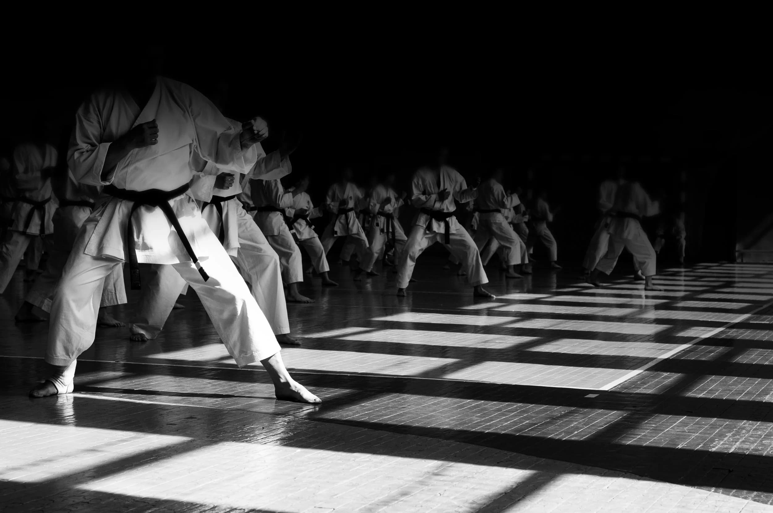 Main image of Jin Wu Koon Karate